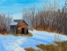 The Old Shed